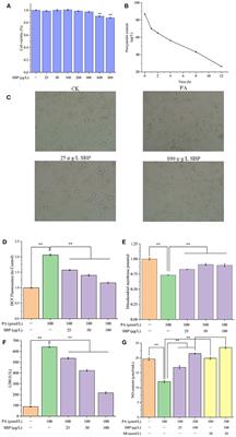 Regulatory Effect of Sea-Buckthorn Procyanidins on Oxidative Injury HUVECs